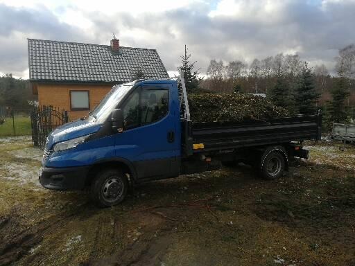 Niebieski samochód ciężarowy z czarną skrzynią ładunkową wypełnioną gałęziami i liśćmi na tle domu z szarą dachówką i pochmurnego nieba.