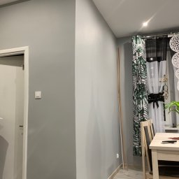 PatKoz - Świeżo pomalowana na szaro ściana w mieszkaniu w Trzebnicy, z widoczną listwą przypodłogową i psem leżącym przy ścianie.