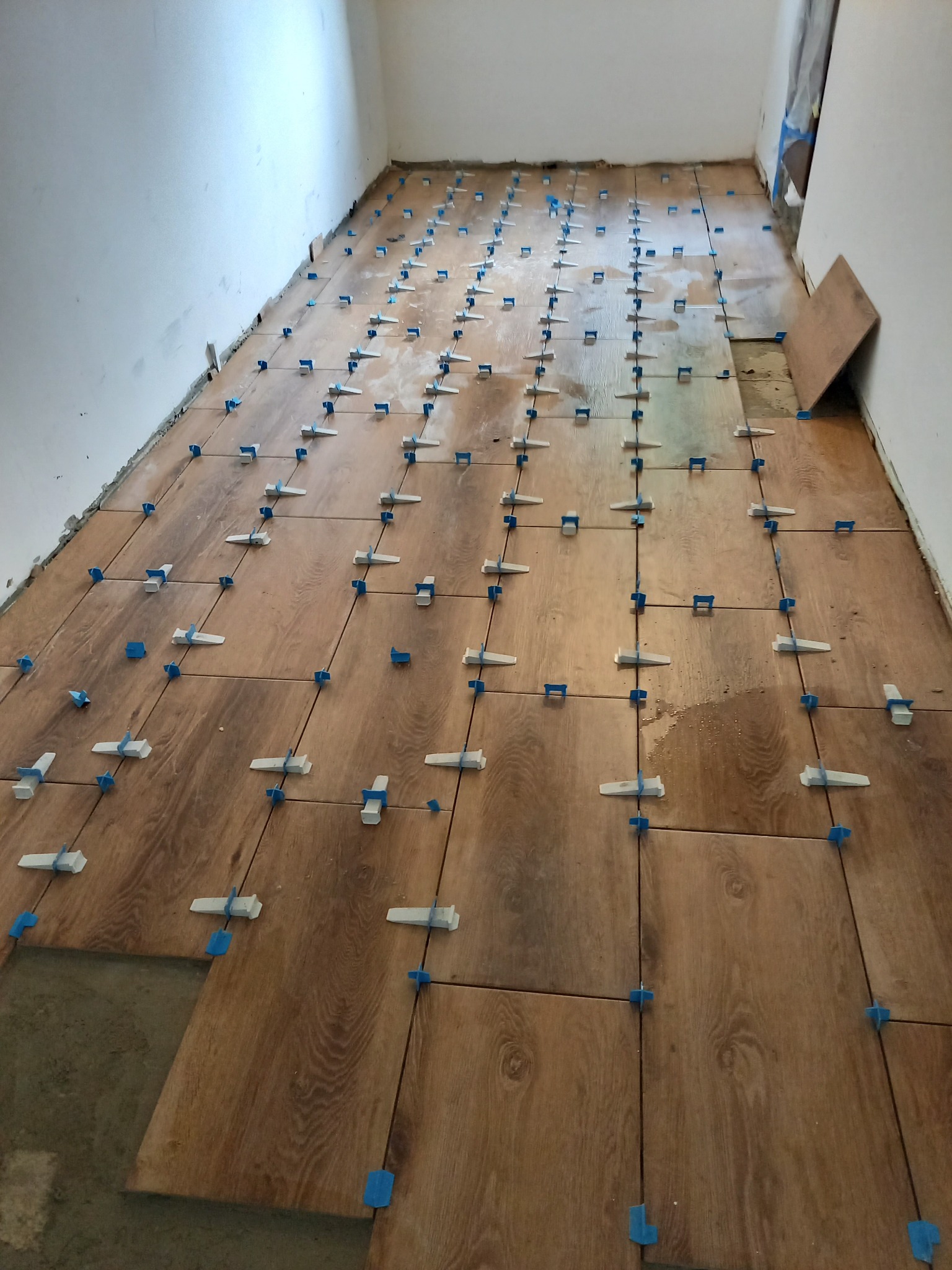 Proces układania płytek imitujących drewno na podłodze, z widocznymi niebieskimi klipsami poziomującymi i białymi klinami, na nieukończonym fragmencie podłogi w trakcie prac.
