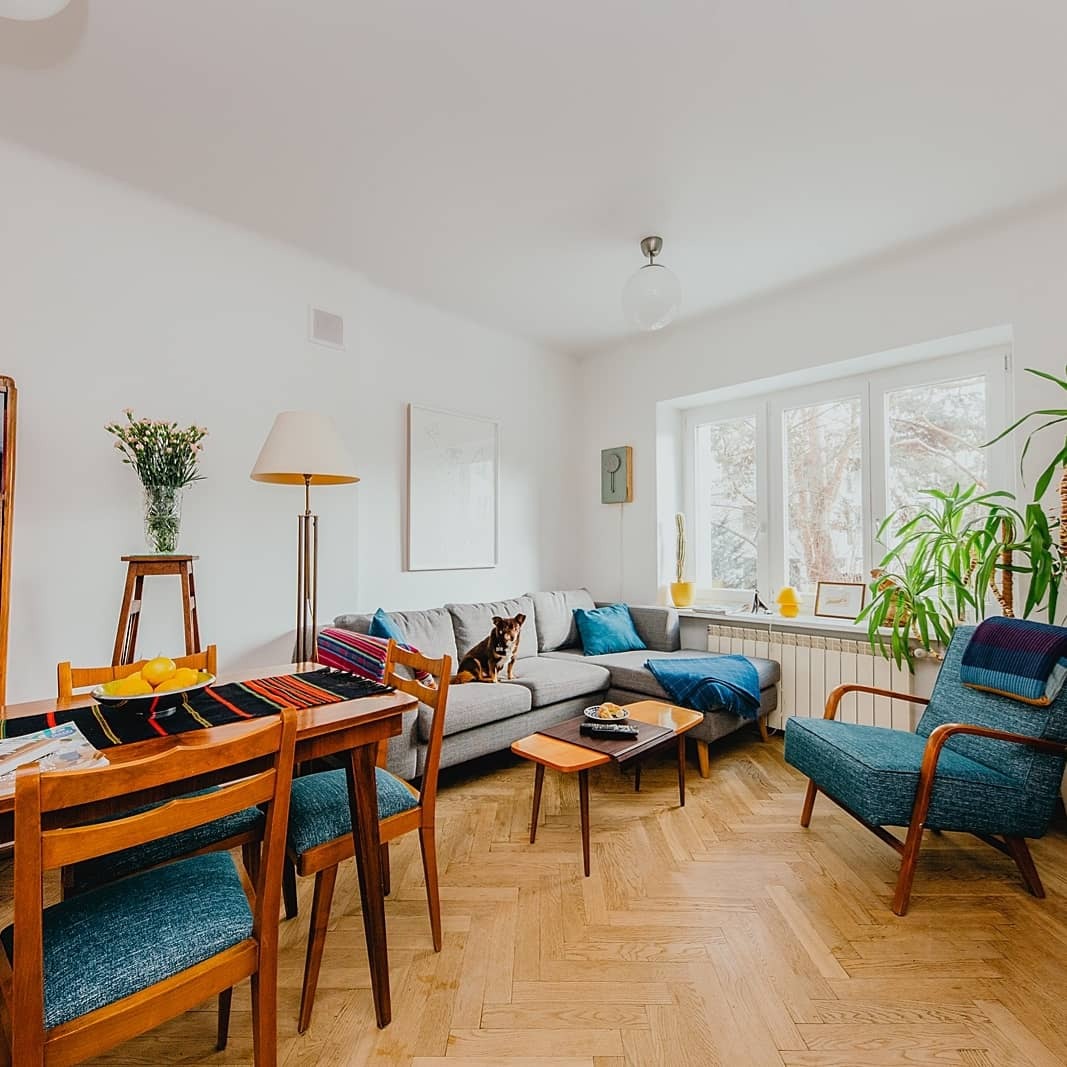 Jasne wnętrze mieszkania w stylu vintage z parkietem w jodełkę, drewnianym stołem z owocami, szarą sofą z psem i błękitnym fotelem przy oknie.