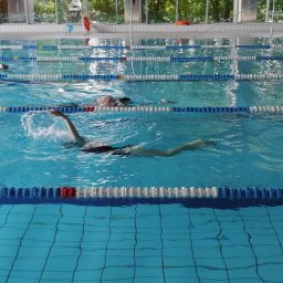 Lekcje pływania na basenie w Mińsku Mazowieckim prowadzone przez szkołę pływania On The Way