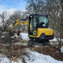 Żółta mini koparka Yanmar na gąsienicach usuwa korzenie drzewa w zimowym krajobrazie, widoczne powalone gałęzie i śnieg.