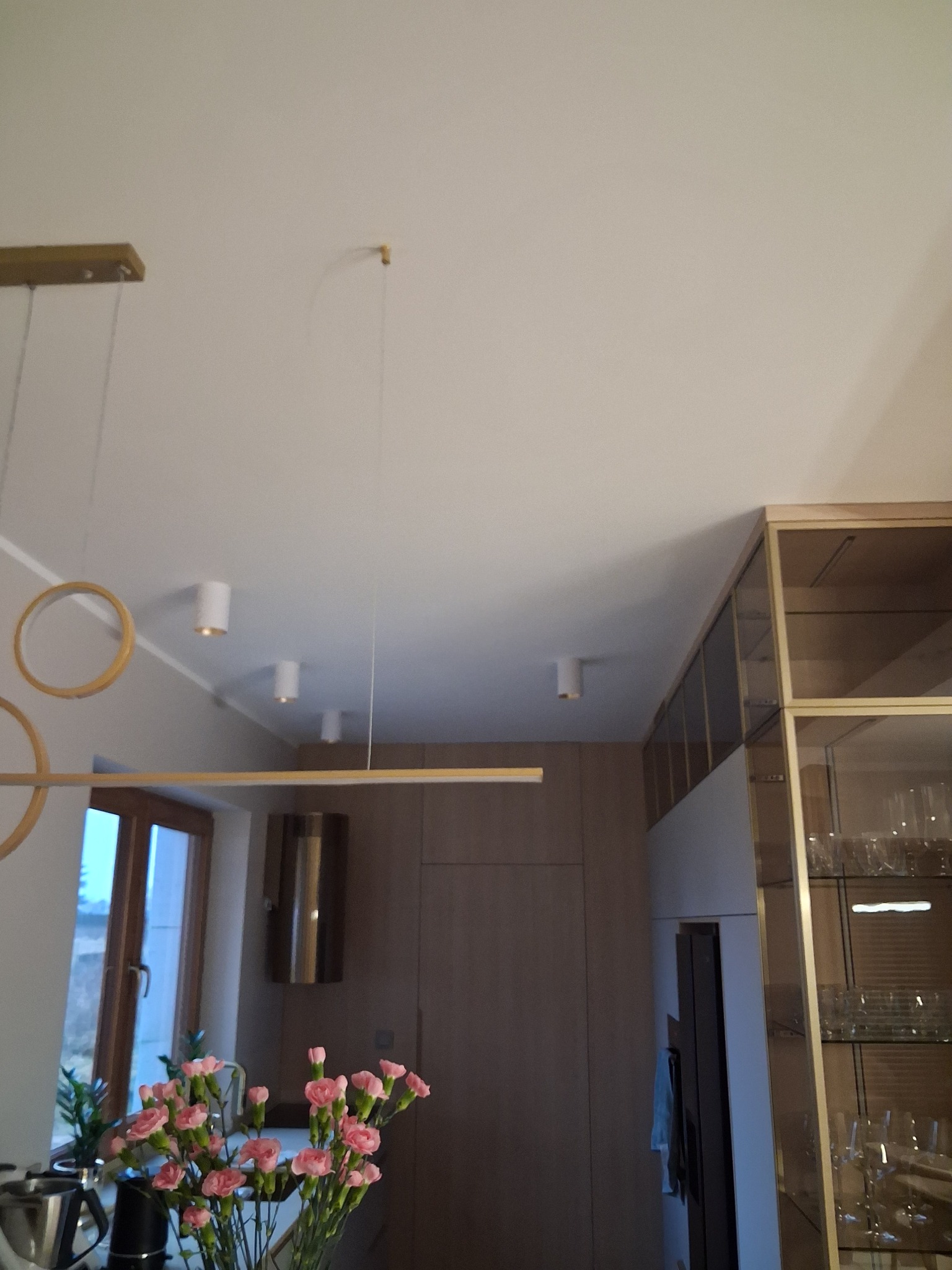 Nowoczesne wnętrze: minimalistyczne oświetlenie sufitowe, zabudowa meblowa z przeszkleniami i bukiet różowych kwiatów na tle okna. Jasne, stonowane kolory.