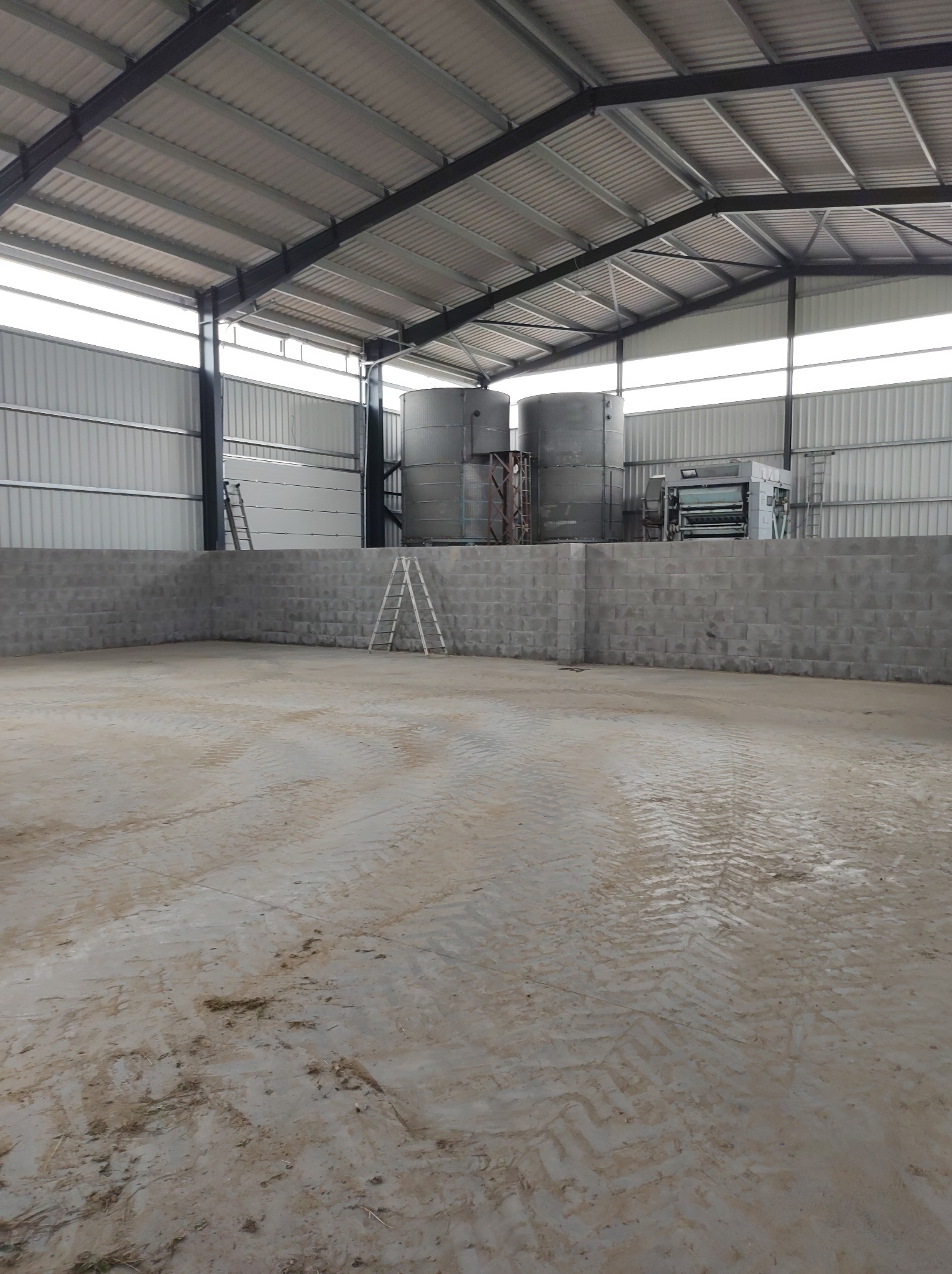 Wnętrze hali produkcyjnej z betonową posadzką i stalową konstrukcją dachu, widoczne dwa silosy i maszyna produkcyjna za niskim murem z betonowych bloczków, dwie drabiny opierają się o mur i ścianę.