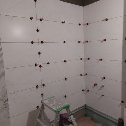 Glazurnik Zielonka 2