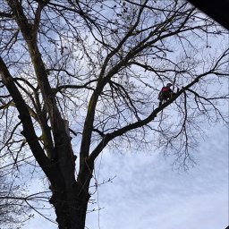 Sandra Tarnowska - Firma Ogrodnicza Gardeja