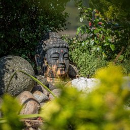 Ogrodomania Wrocław