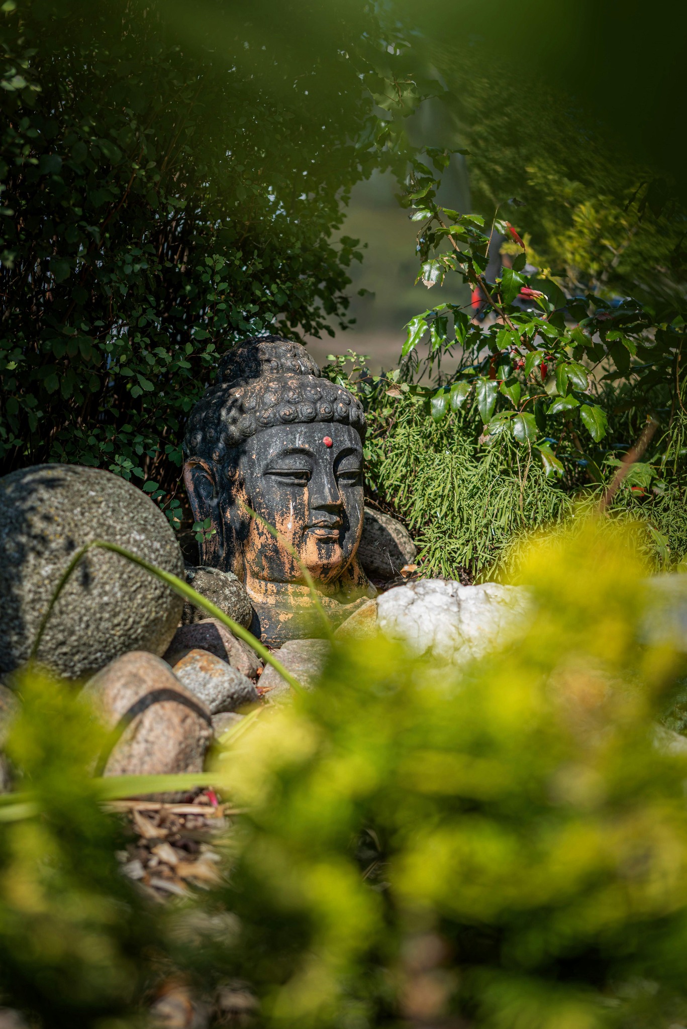 Ogrodomania Wrocław