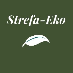 Strefa-Eko - Biznes Plan Firmy Warszawa