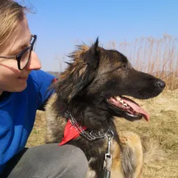 Kobieta w okularach uśmiecha się do dużego, brązowo-czarnego psa z czerwoną bandaną i łańcuszkową obrożą na tle łąki i błękitnego nieba.