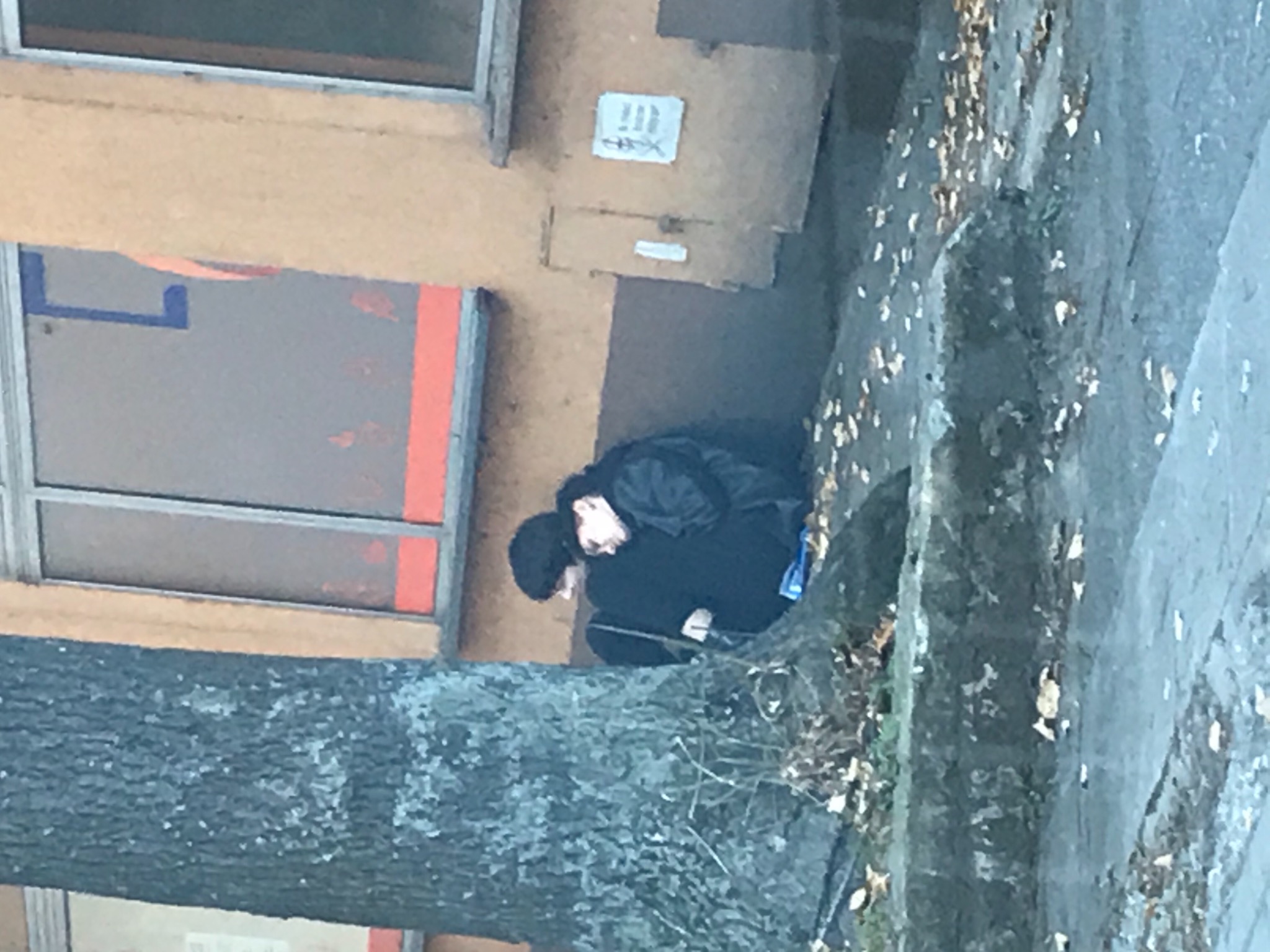 Dwóch mężczyzn w czarnych kurtkach pracuje na wysokości przy oknie budynku z pomarańczowymi akcentami, widoczne zza pnia drzewa.