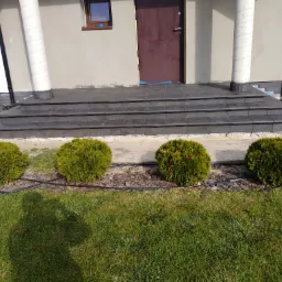 Wejście do domu z ciemnymi, ceramicznymi płytkami schodowymi, kolumnami i rzędem czterech kulistych krzewów na tle trawnika.