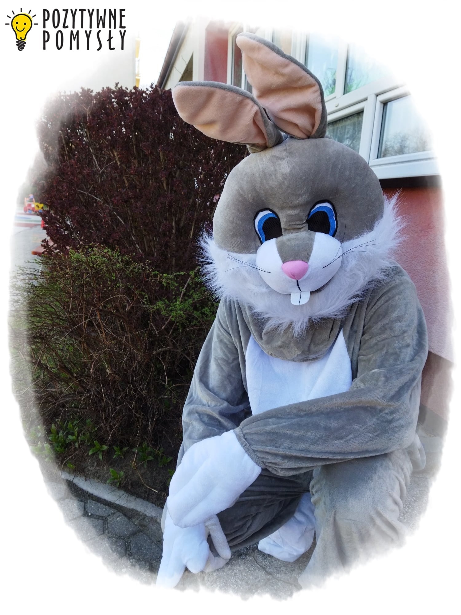 Osoba w kostiumie szarego królika z białymi rękawicami i futrzanym kołnierzem, siedząca na chodniku przed krzewem i budynkiem.