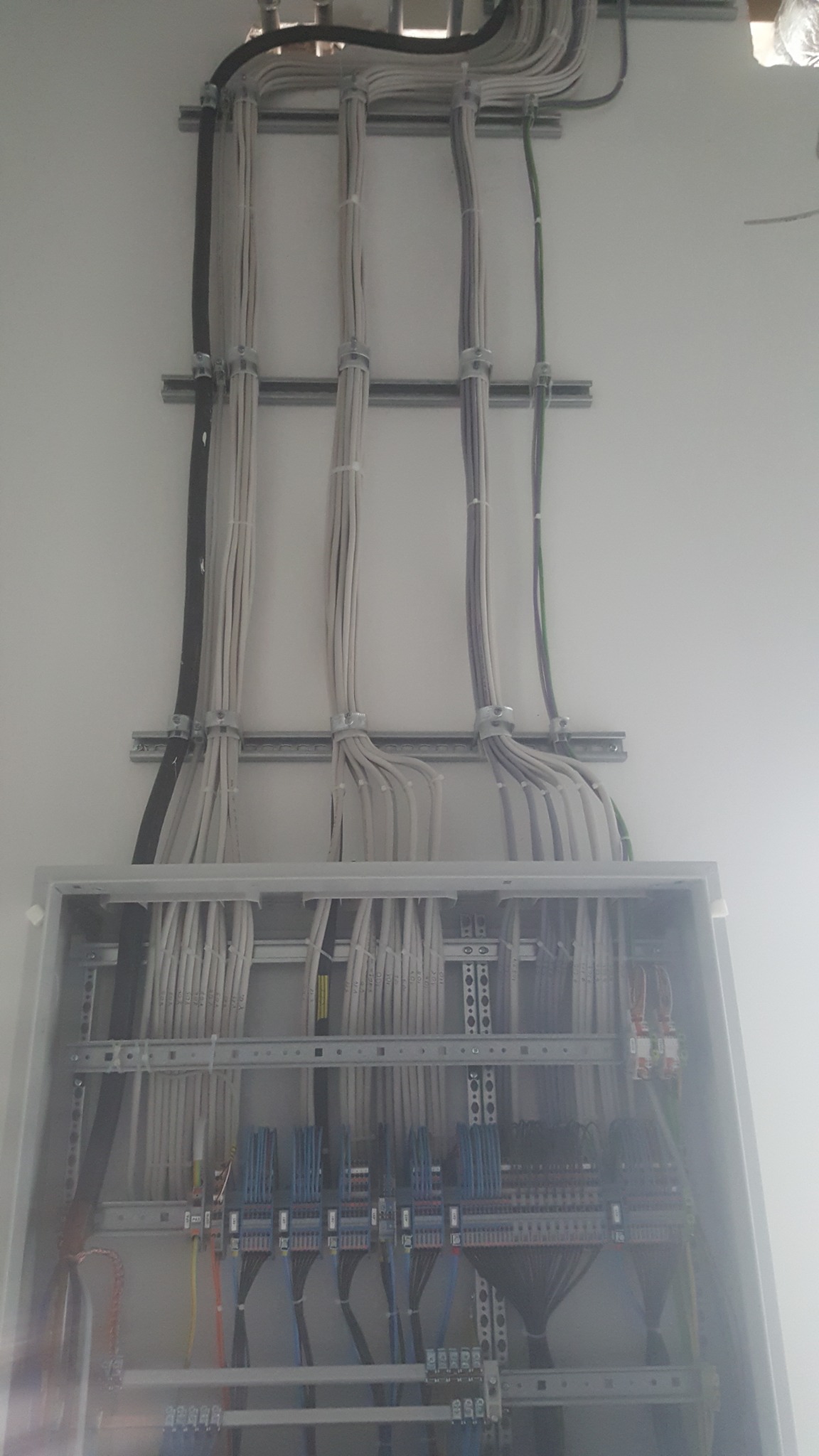 Rozdzielnica elektryczna z licznymi przewodami ułożonymi w peszlach i przymocowanymi do szyn montażowych na ścianie, widok od dołu.