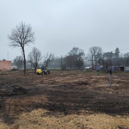 Demontix - Żółta miniładowarka na rozległym, przygotowanym terenie budowlanym w mglisty dzień. Ślady opon na ziemi, drzewa bez liści w tle.