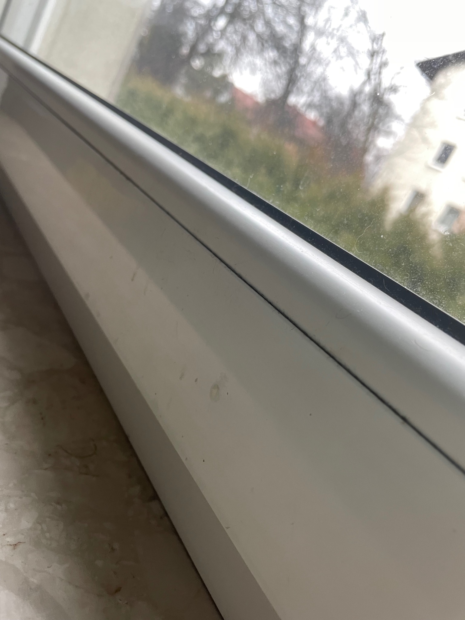 Brudne okno z widokiem na zewnątrz, z drobnymi plamami na ramie i szybie, z rozmytym tłem z zielenią i budynkami.