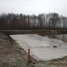 Wycinka drzew Głogowo 2