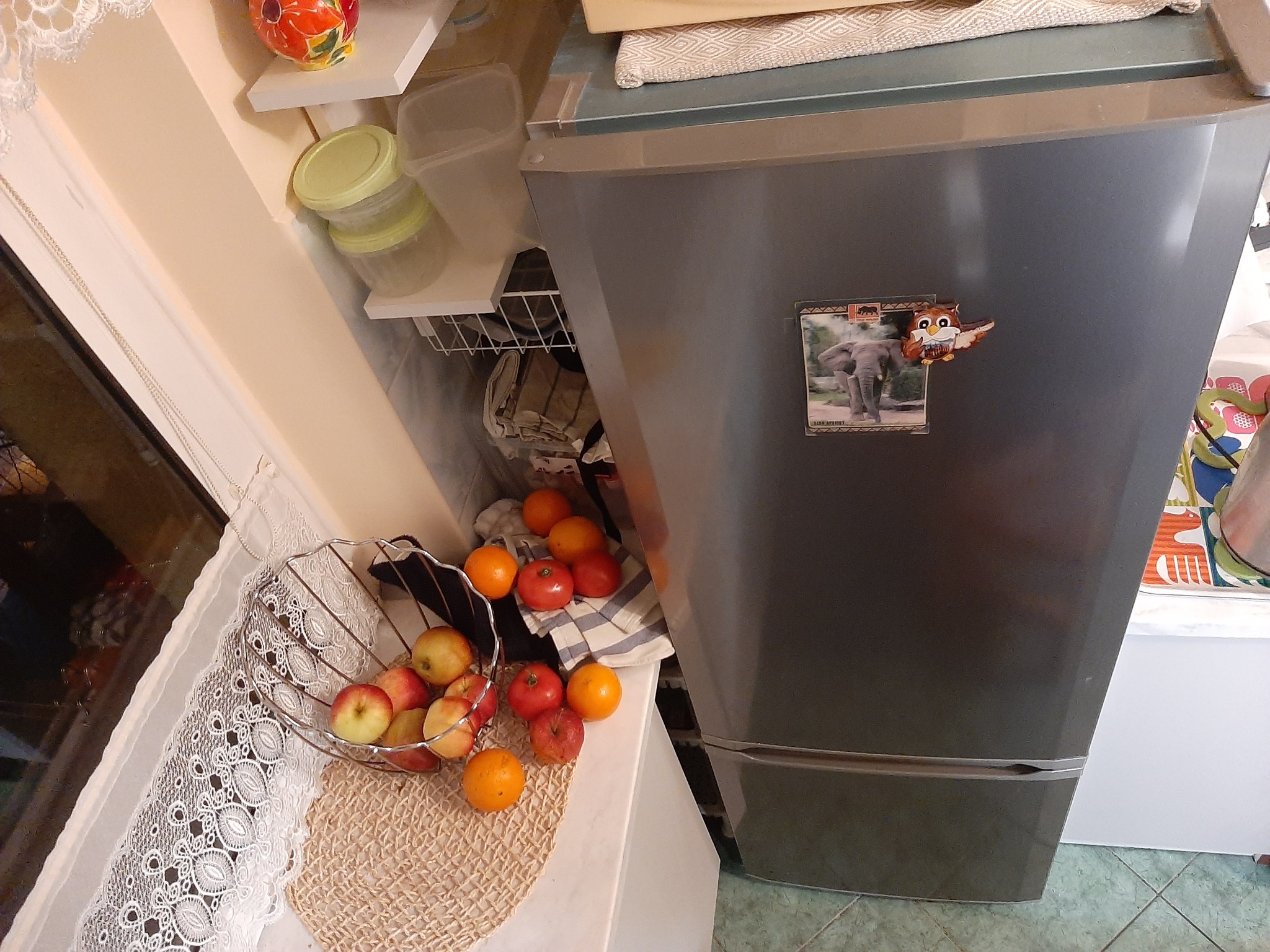 Szara lodówka z magnesami (słoń i sowa) stojąca w kuchni obok koszyka z jabłkami i pomarańczami, z widoczną zawartością półek i pojemników na drzwiach.