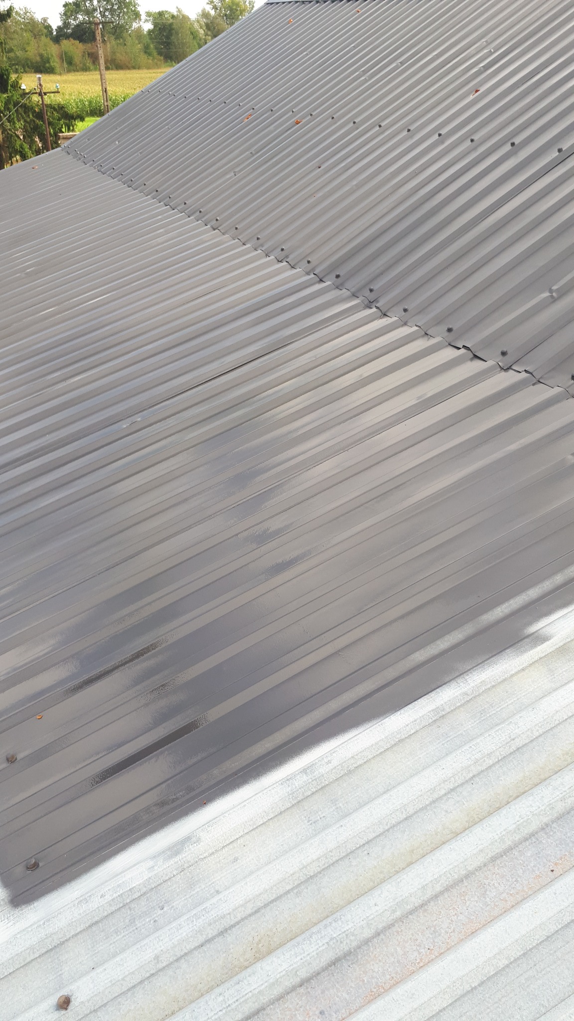 Częściowo pomalowany blaszany dach w odcieniach szarości, widoczne łączenia blachy. Fragment dachu w kolorze białym, w tle zieleń drzew i pola.
