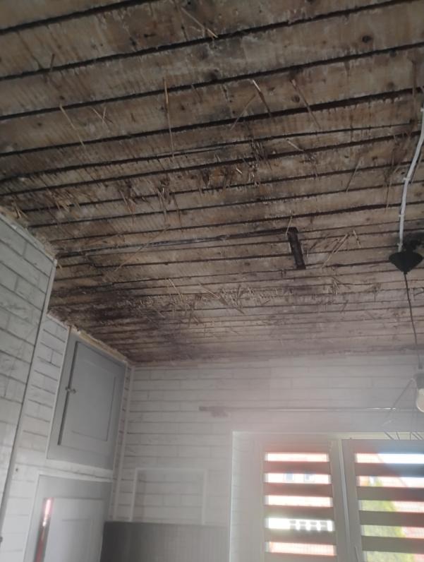 Drewniany sufit z widocznymi belkami i fragmentami izolacji, ściany wyłożone białą cegłą, okno z żaluzjami. Widok na wnętrze w trakcie prac remontowych.