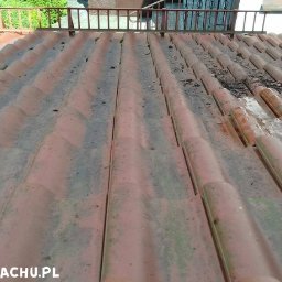 Mycie-dachu.pl - Czyszczenie dachu Olsztyn przed