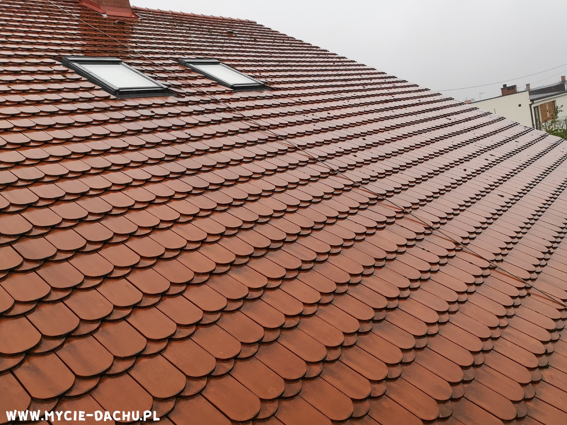 Mycie dachu karpiówka