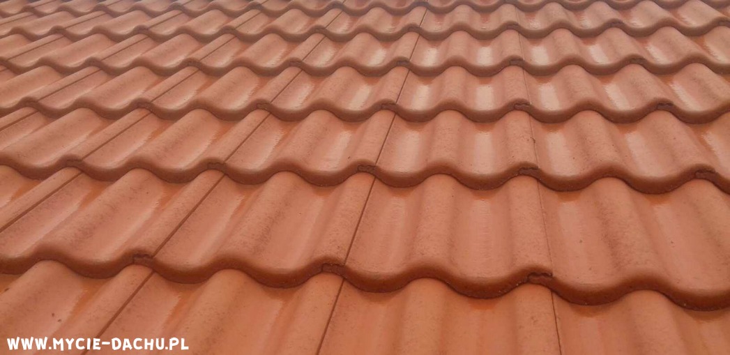 Mycie dachu Bydgoszcz