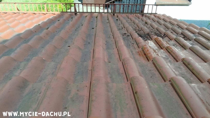 Czyszczenie dachu Olsztyn przed