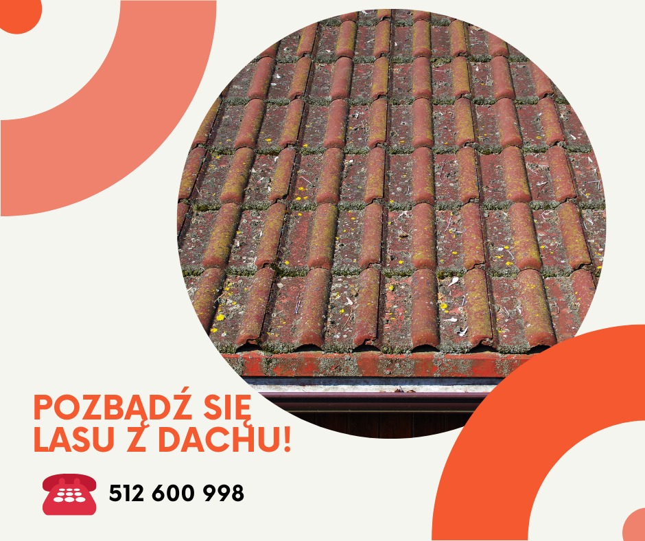 Pozbądź się lasu z dachu