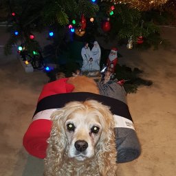 Przeprowadzki Warszawa 1