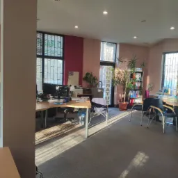 Jasne biuro z biurkami, krzesłami, komputerami i roślinami doniczkowymi, oświetlone promieniami słonecznymi wpadającymi przez okna z żaluzjami.