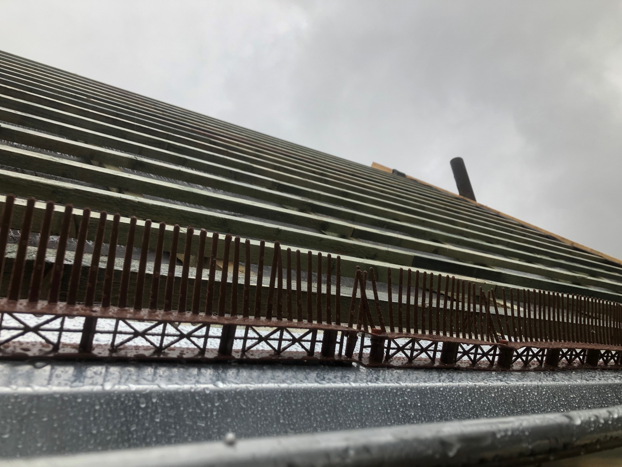 Widok od dołu na konstrukcję dachu z drewnianymi łatami i zamontowanymi metalowymi zabezpieczeniami przeciw ptakom na rynnie, w tle pochmurne niebo.