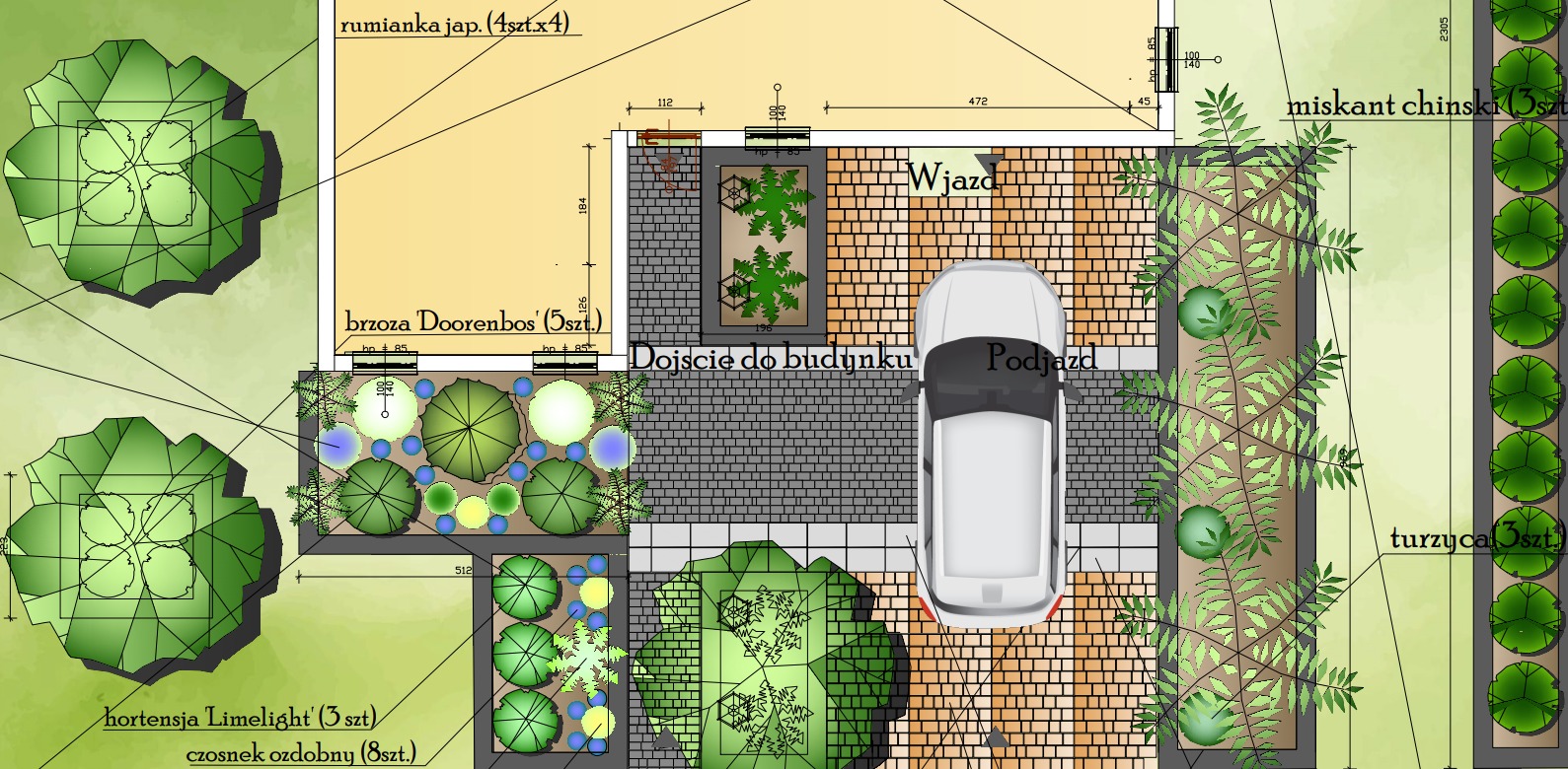 Plan zagospodarowania terenu z widokiem z góry, prezentujący rozmieszczenie roślin, ścieżek i podjazdu, z uwzględnieniem gatunków takich jak hortensja Limelight, czosnek ozdobny, rumianka japońska,...