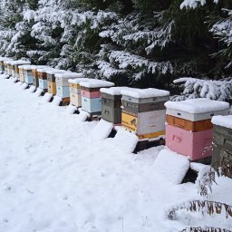 Nasza pasieka zimą.