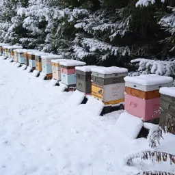 Nasza pasieka zimą.