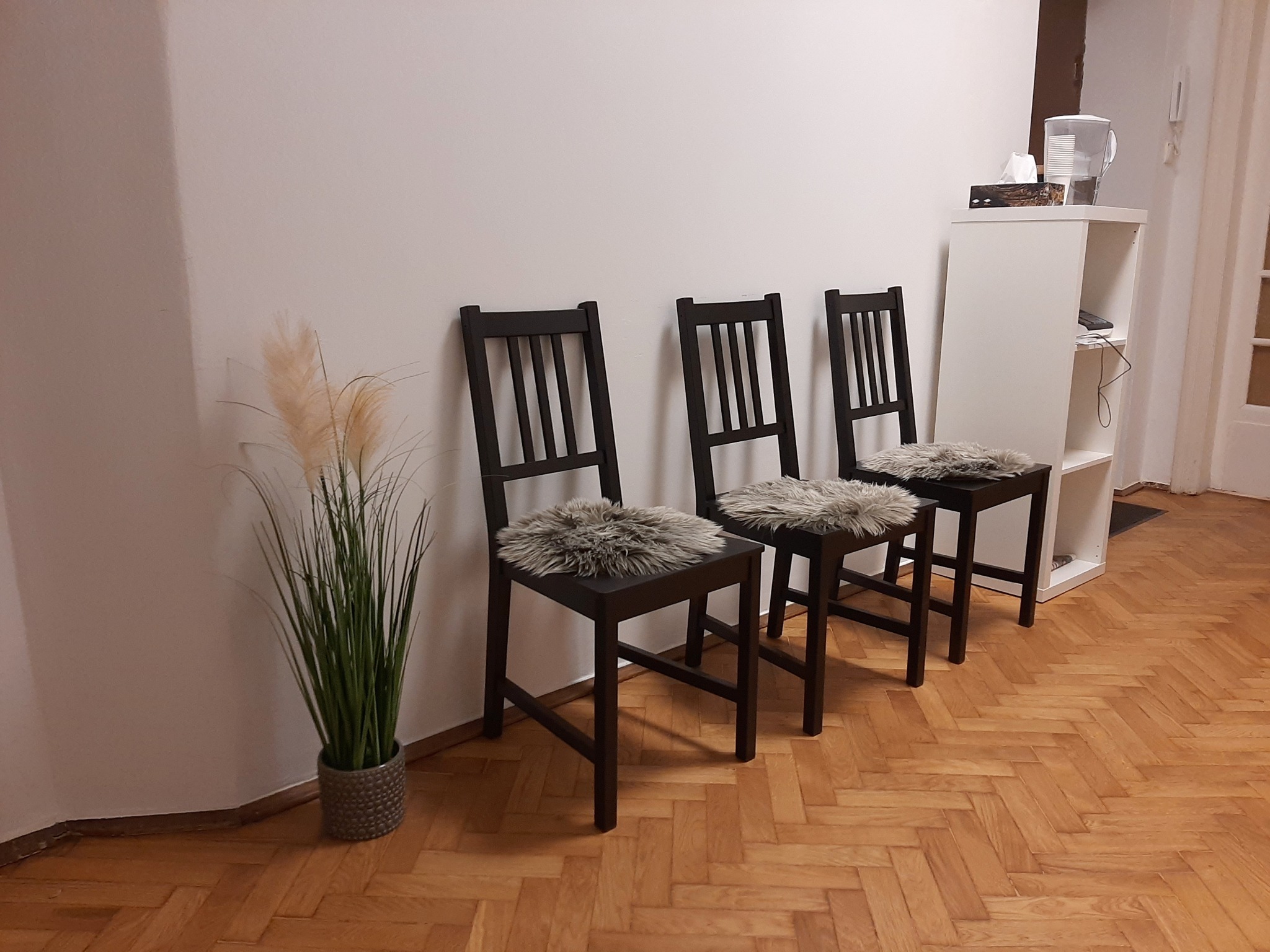 Wnętrze gabinetu z trzema krzesłami z ciemnego drewna, każde z szarą poduszką z imitacji futra, ustawionymi pod ścianą obok białego regału z dzbankiem wody i chusteczkami, oraz doniczką z trawą...