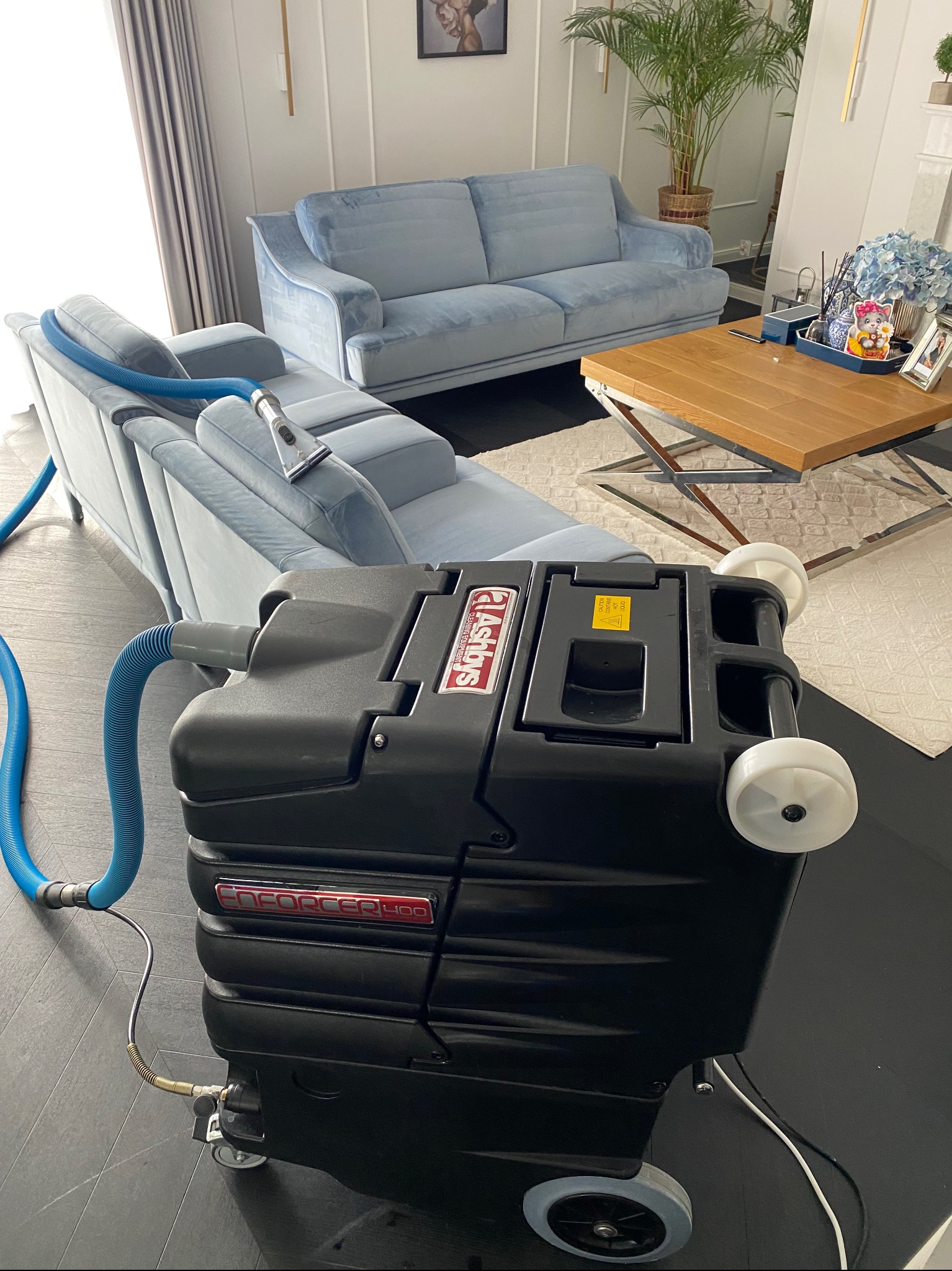 Profesjonalny sprzęt do czyszczenia tapicerki na tle jasnych sof w eleganckim salonie. Widoczna dysza czyszcząca na sofie, sugerująca trwający proces.