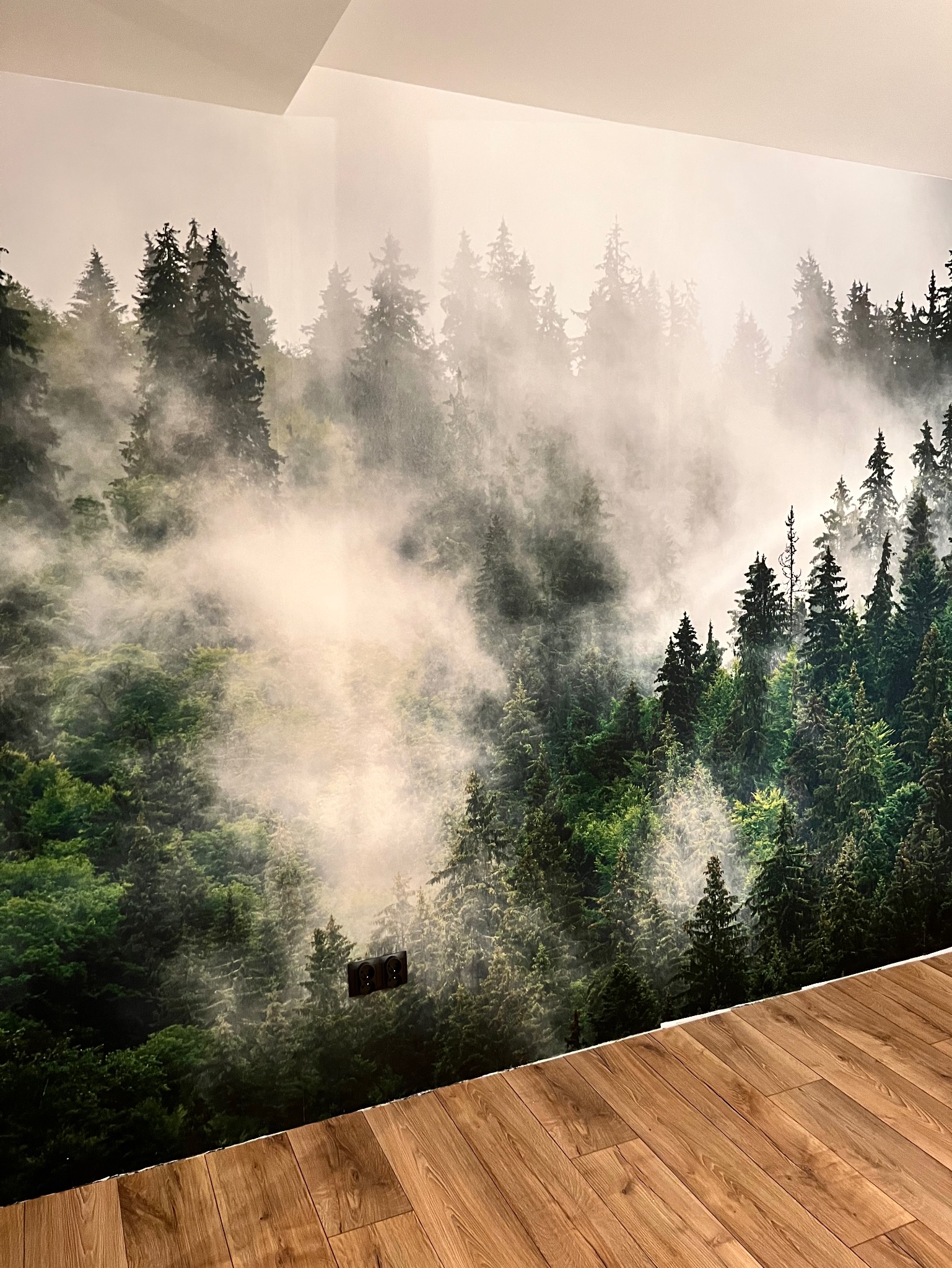 Fototapeta z motywem mglistego lasu iglastego na ścianie w pokoju z drewnianą podłogą. Widoczne gniazdka elektryczne na tle fototapety.