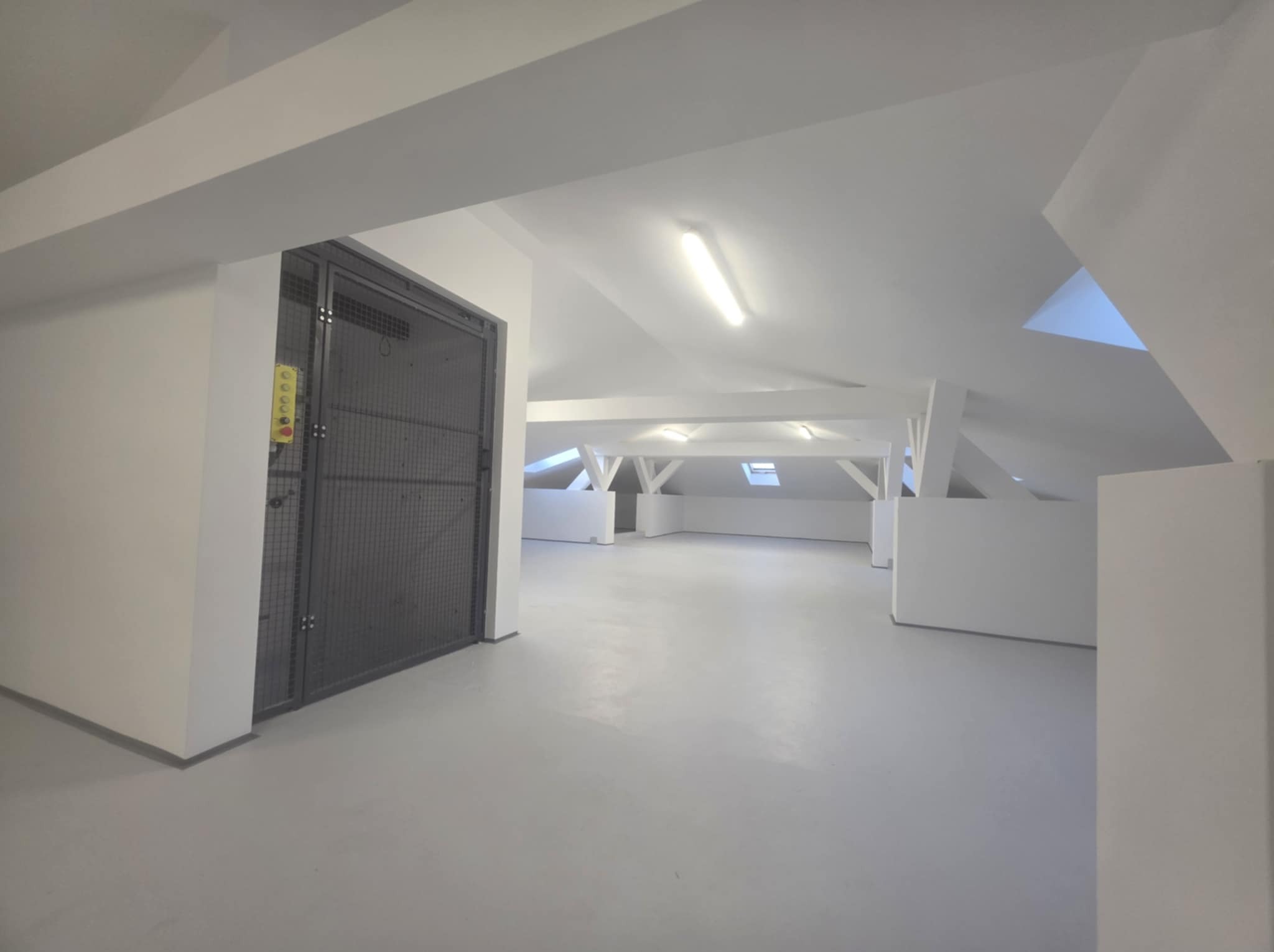 Jasne, przestronne poddasze z białymi ścianami i podłogą, oświetlone lampą. Widoczna metalowa krata i elementy konstrukcyjne dachu. Minimalistyczny design.