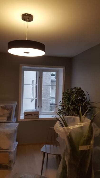 Nowoczesna lampa sufitowa z okrągłym kloszem w brązowym odcieniu, zawieszona w pokoju z oknem, roślinami doniczkowymi i plastikowymi pojemnikami, sugerującymi przeprowadzkę lub remont.