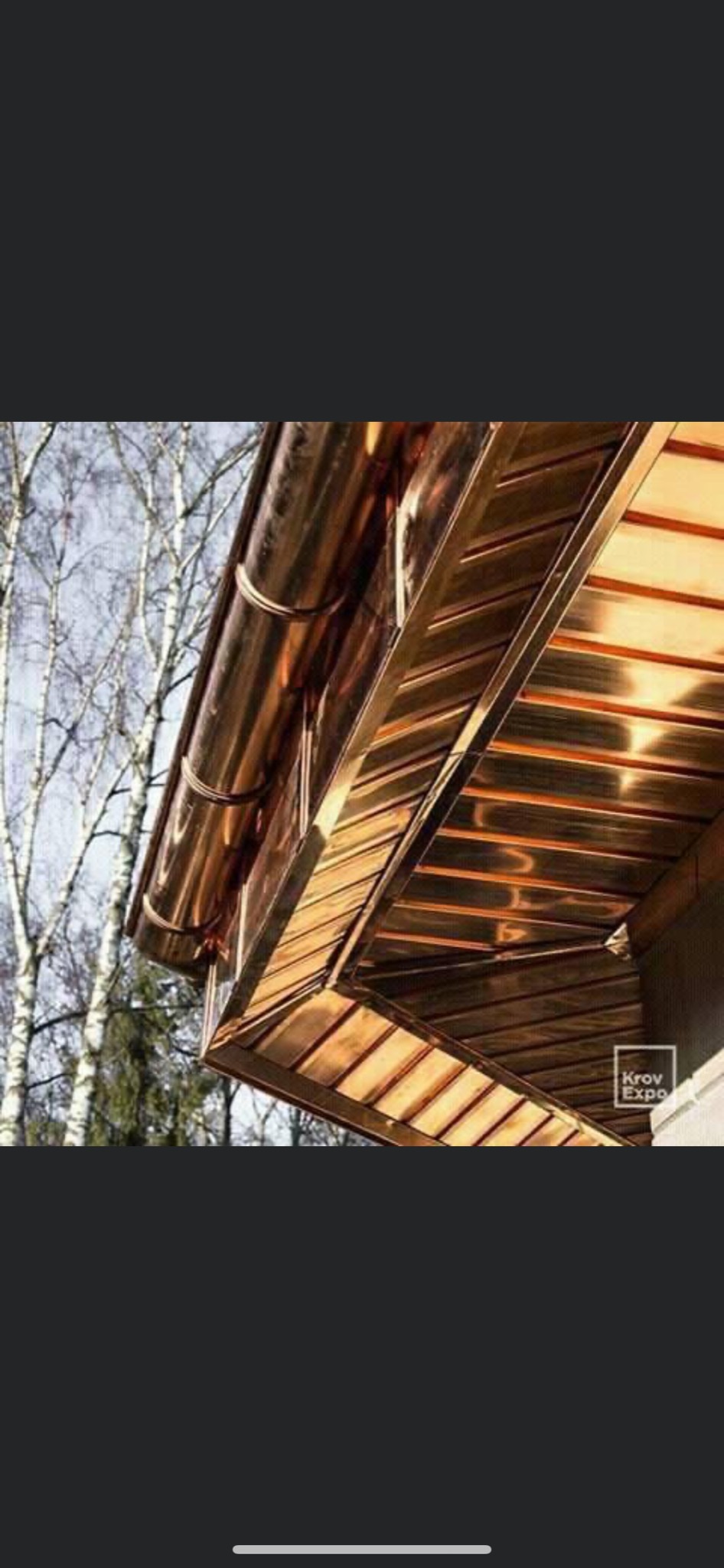 Błyszczące, miedziane orynnowanie i podbitka dachowa, widoczne z dołu, na tle drzew bezlistnych i logotypu 'Krov Expo' w prawym dolnym rogu.