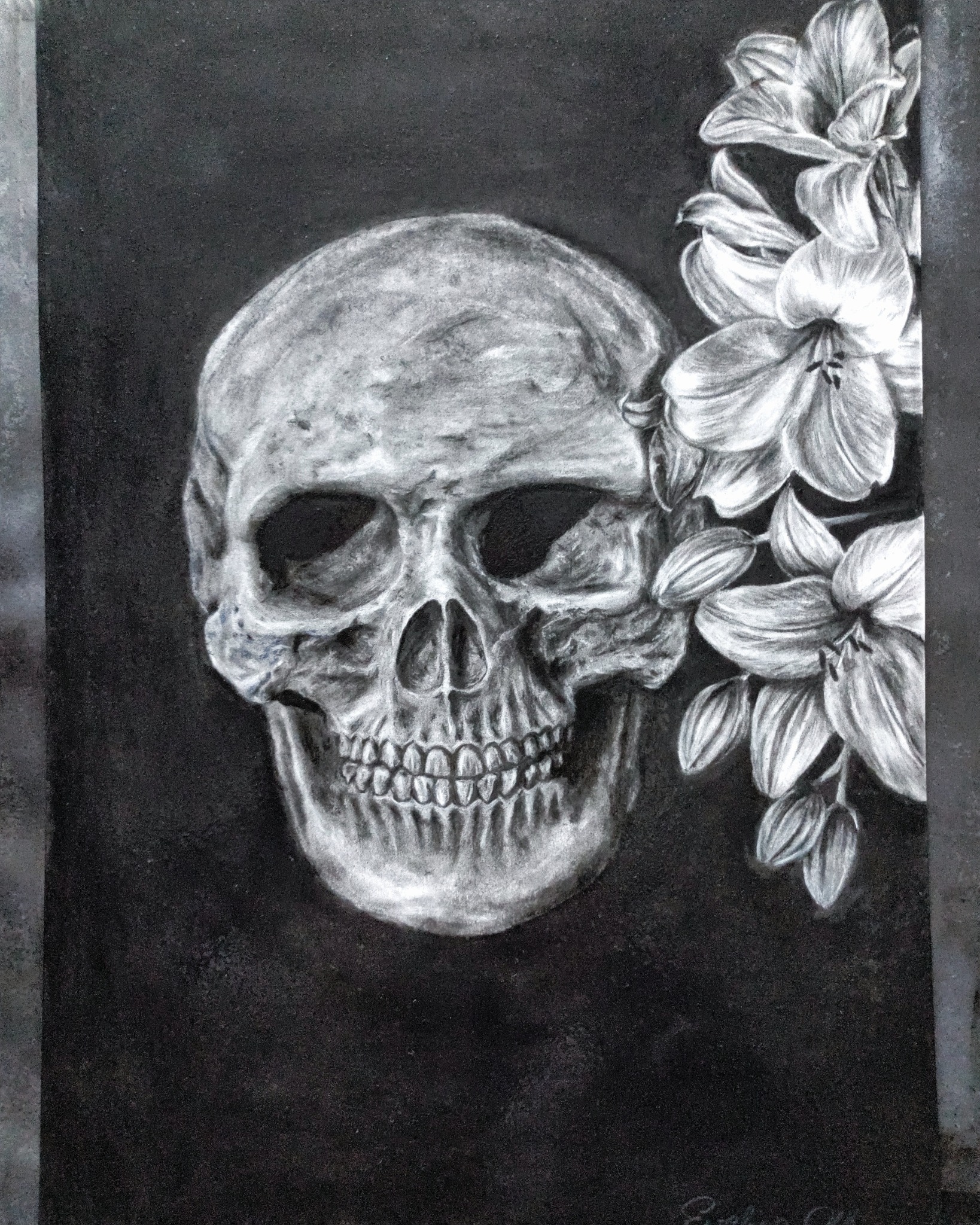 Czarno-biały rysunek przedstawiający czaszkę ludzką i kwiaty lilii, wykonany kredką na ciemnym tle, z widoczną sygnaturą autora w prawym dolnym rogu.