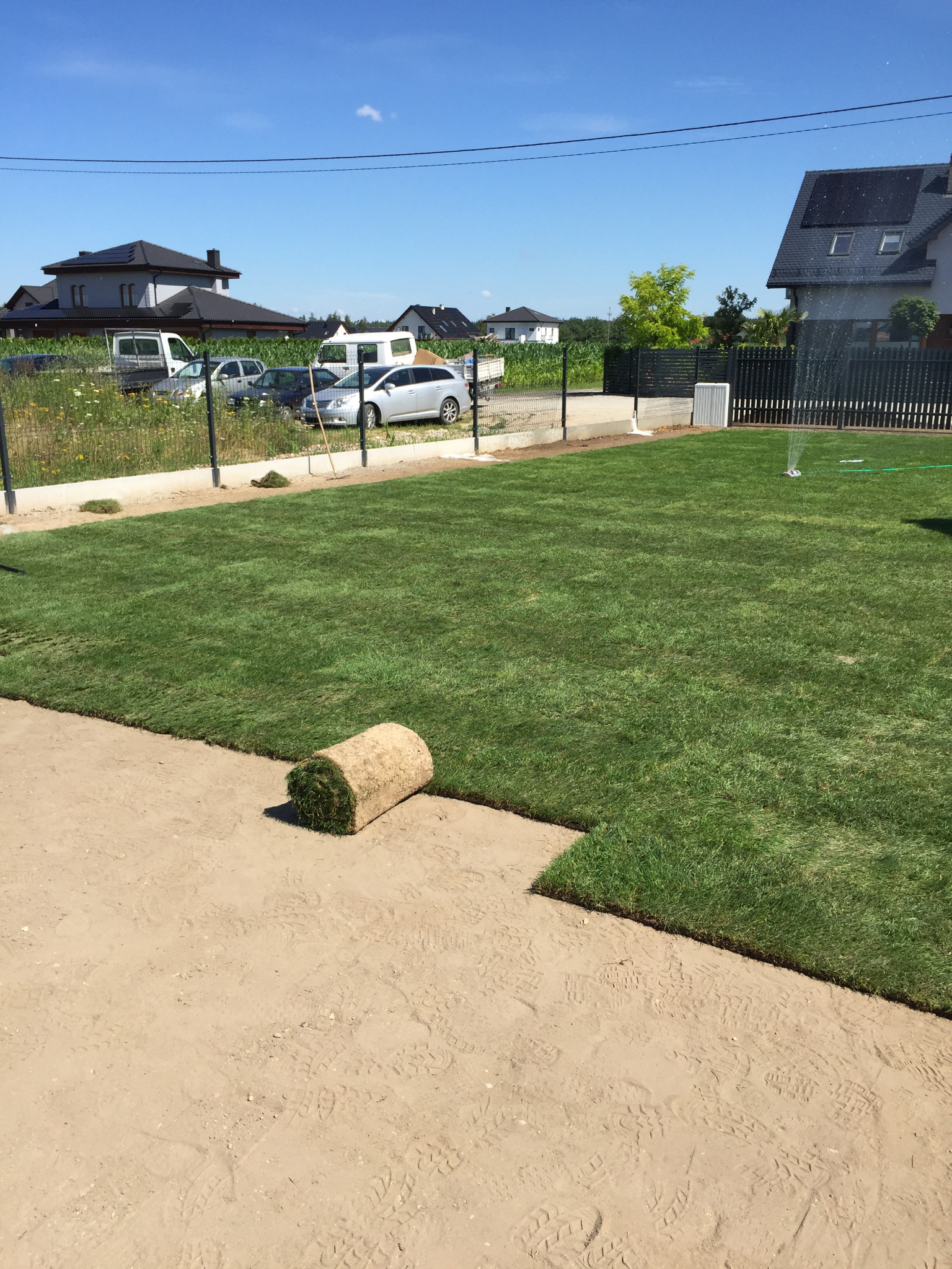 Rozwinięty trawnik z rolki na przygotowanym podłożu, w tle domy jednorodzinne i zraszacze.