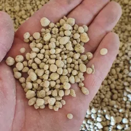 Otwarta dłoń wypełniona jasnymi granulkami nawozu mineralnego, widoczne tło z dużą ilością podobnych granulek.