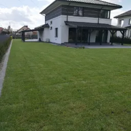 Starannie utrzymany trawnik przed nowoczesnym domem z szarą elewacją i zadaszeniem tarasu, obrzeża z szarych kostek i rząd małych tuj wzdłuż betonowego ogrodzenia.