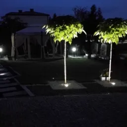 Nocny widok na ogród z oświetlonymi drzewami o kulistych koronach, podświetloną ścieżką z płyt i altaną w tle.