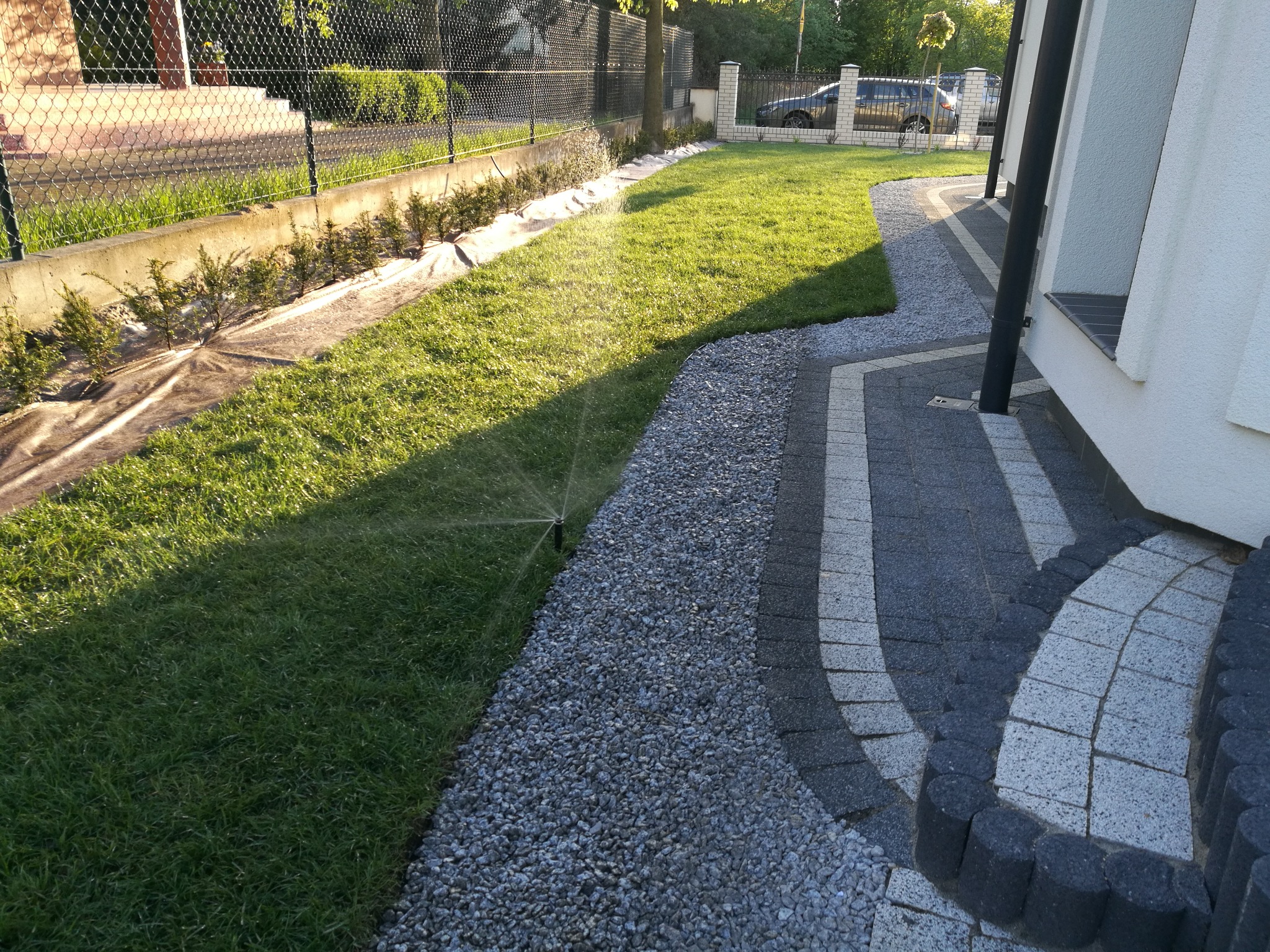 Świeżo założony trawnik z systemem nawadniania, obrzeżem z drobnego kamienia i nowymi nasadzeniami wzdłuż ogrodzenia, widok z perspektywy ścieżki z kostki brukowej.