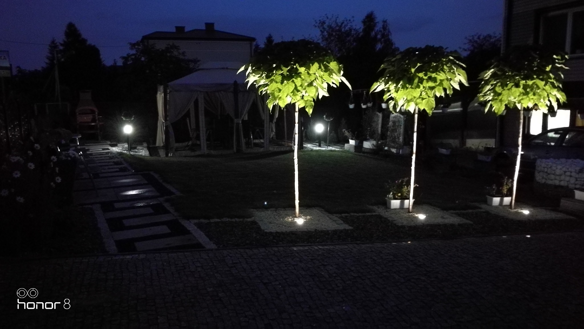 Nocny widok na ogród z oświetlonymi drzewami o kulistych koronach, podświetloną ścieżką z płyt i altaną w tle.