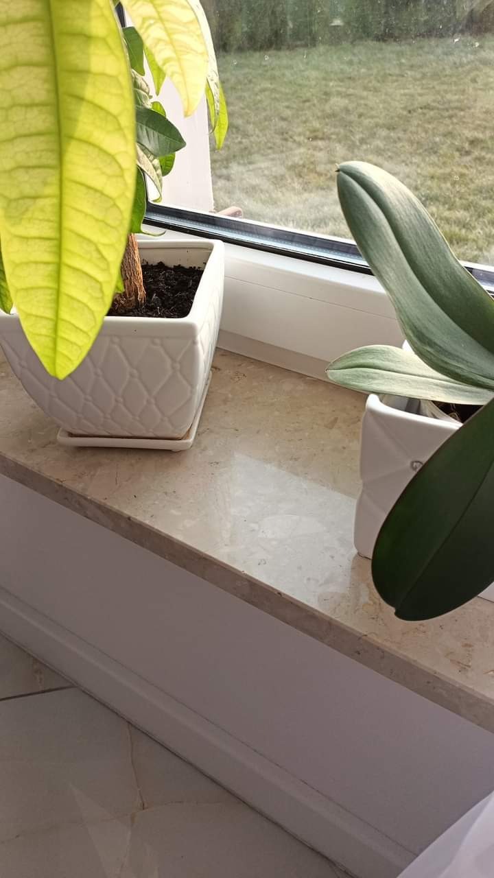 Parapet z konglomeratu w odcieniach beżu, z widocznymi dwoma doniczkami z roślinami w białych, kwadratowych osłonkach.