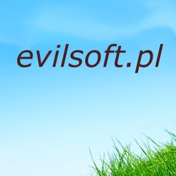 evilsoft.pl - Usługi Programowania Bełchatów